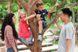 Kids-in-the-trees-2_220614_121505.gif